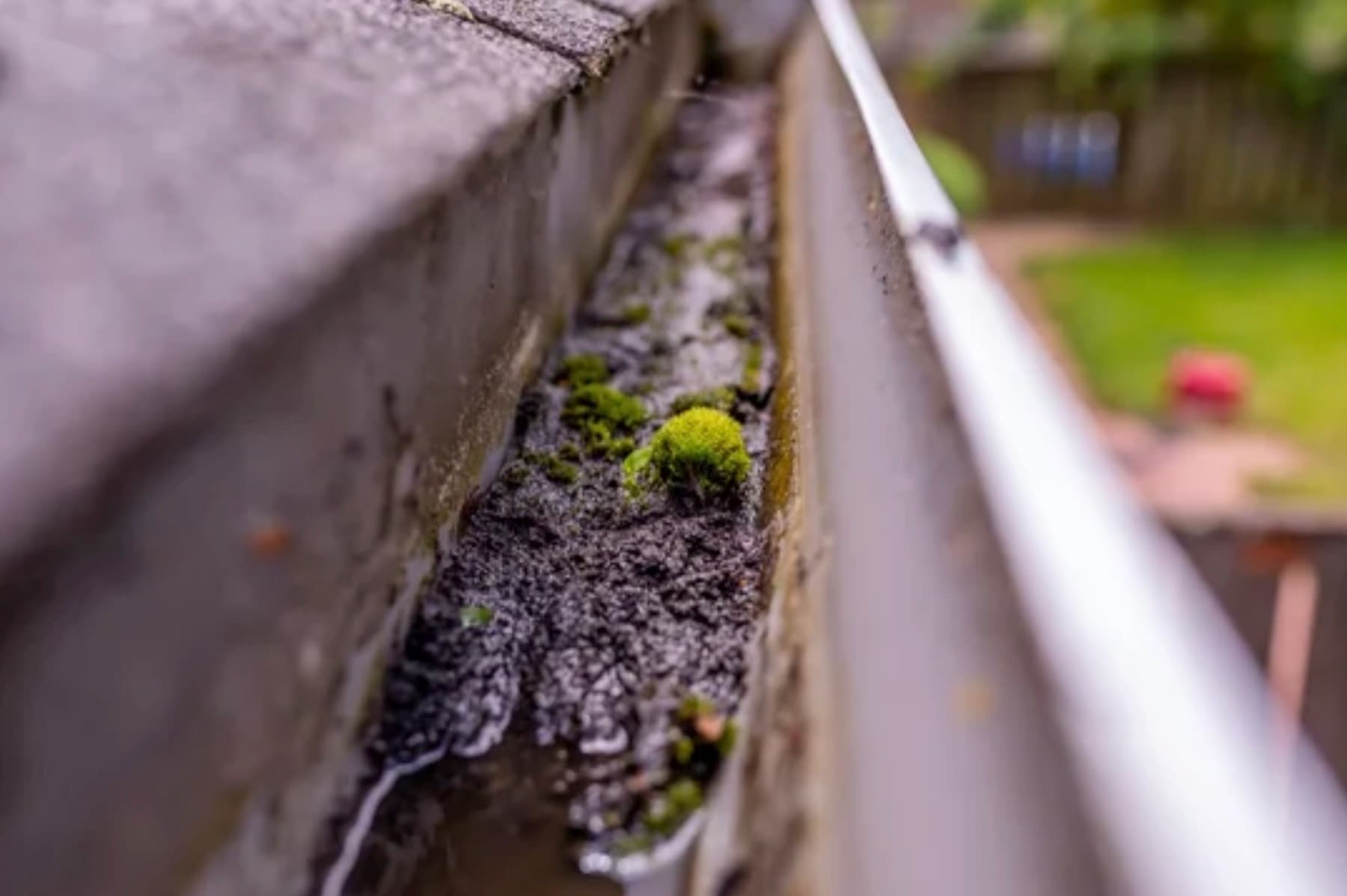 Gutter & Drain Maintenance service by Stormwater Plus Adelaide