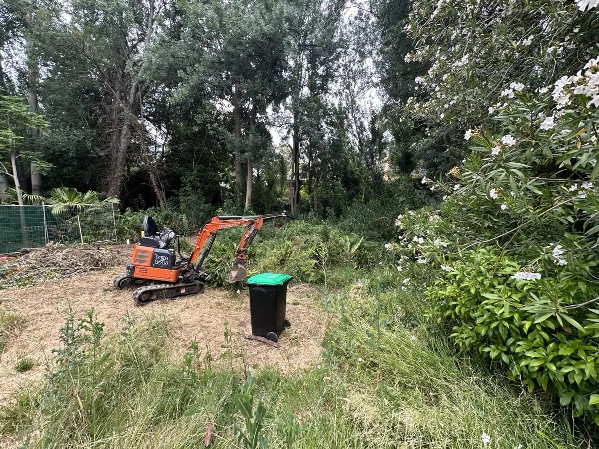 Mini excavator clearing a heavily overgrown, grassed block surrounded by trees
